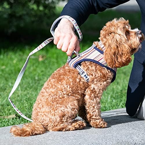 HUGO & HUDSON Pet Köpek Tasması - Yumuşak Yastıklı Saplı 4 ft Eğitim Tasması-Küçük, Orta ve Büyük Köpekler için Hızlı