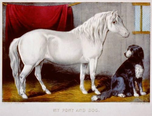 HistoricalFindings Fotoğraf: Midillim, Köpeğim, Atım, evcil hayvan, Currier & Ives , 1856-1907