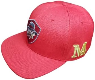 Snapback şapka erkekler için düz fatura şapka Hip Hop tarzı ayarlanabilir düz ağız beyzbol şapkası