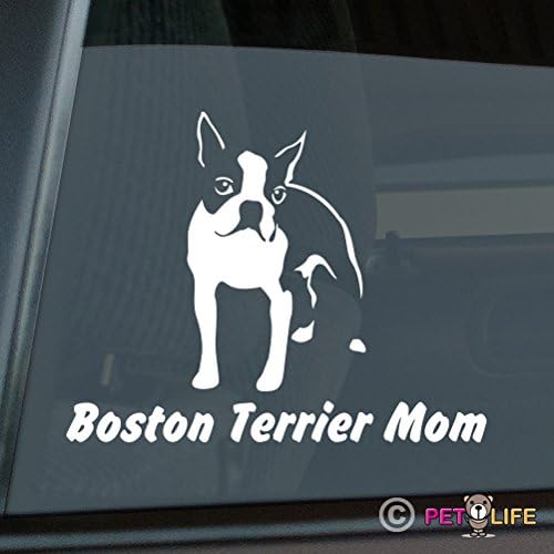 Boston Terrier Anne Sticker Vinil Otomatik Pencere Sticker
