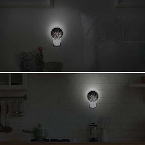 Gece ışıkları 2 paket, nazar baykuş yuvarlak fiş içine Duvar Topografya, otomatik Karanlık Şafak LED Gece Lambası