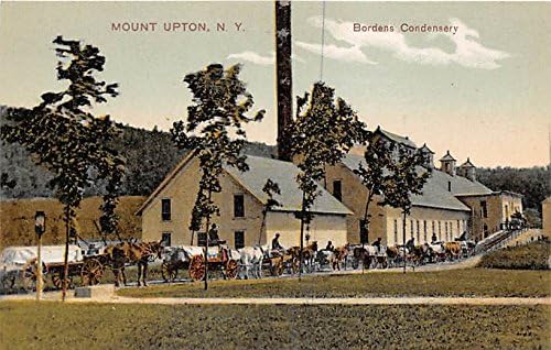 Upton Dağı, New York Kartpostalı