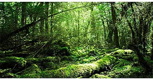 AWERT 24x12 inç Tropikal Teraryum Arka Plan Yağmur Ormanı Akvaryum Arka Plan Yeşil Ağaç Sürüngen Habitat Arka Plan