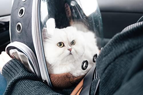 PROKEİ Kedi Sırt Çantası Taşıyıcı, Genişletilebilir Pet Kabarcık Sırt Çantası Havayolu Onaylı, Yürüyüş Yürüyüşü Dış